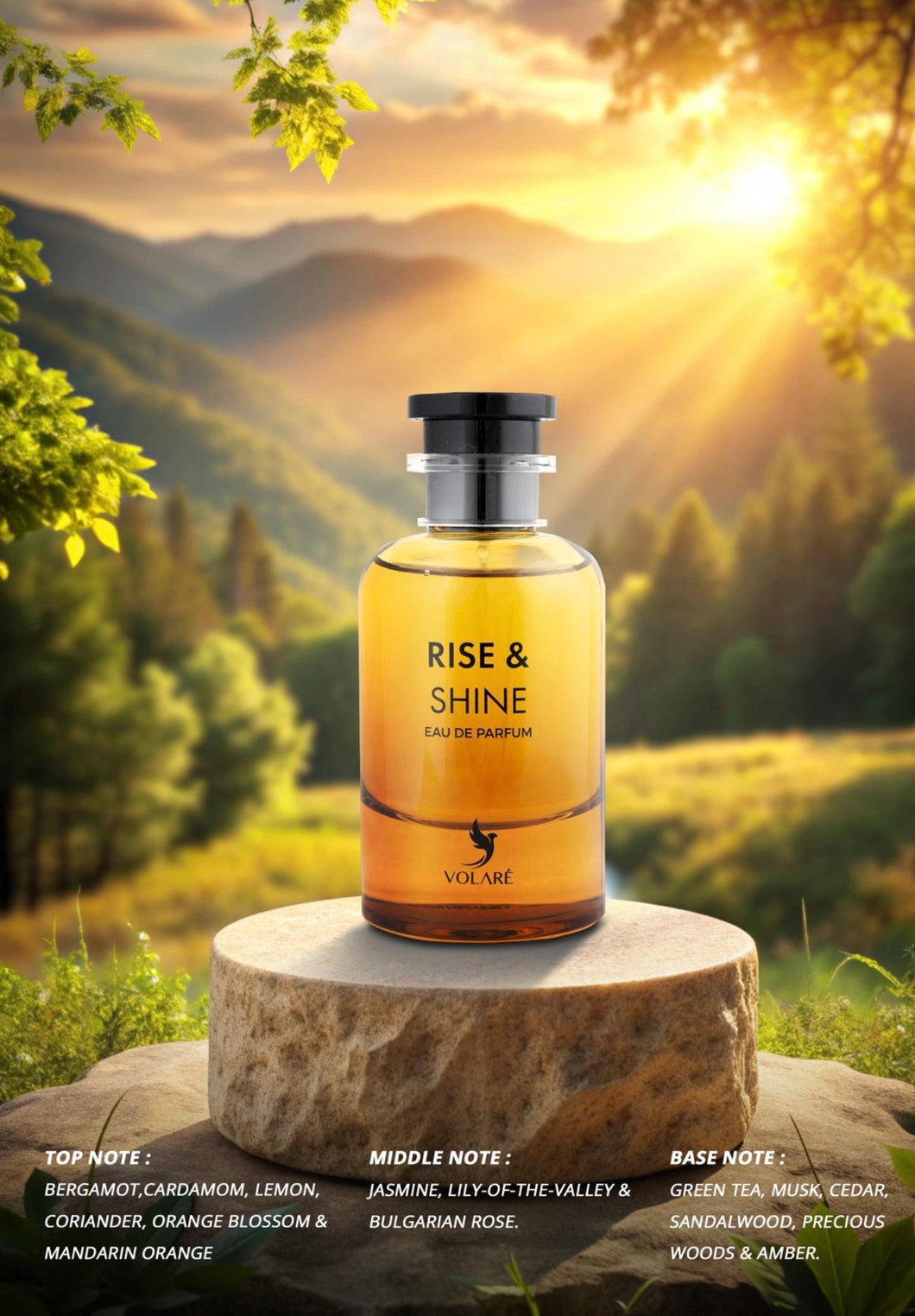 Parfum Rise & Shine 100ml - Volaré mamlakat al oud