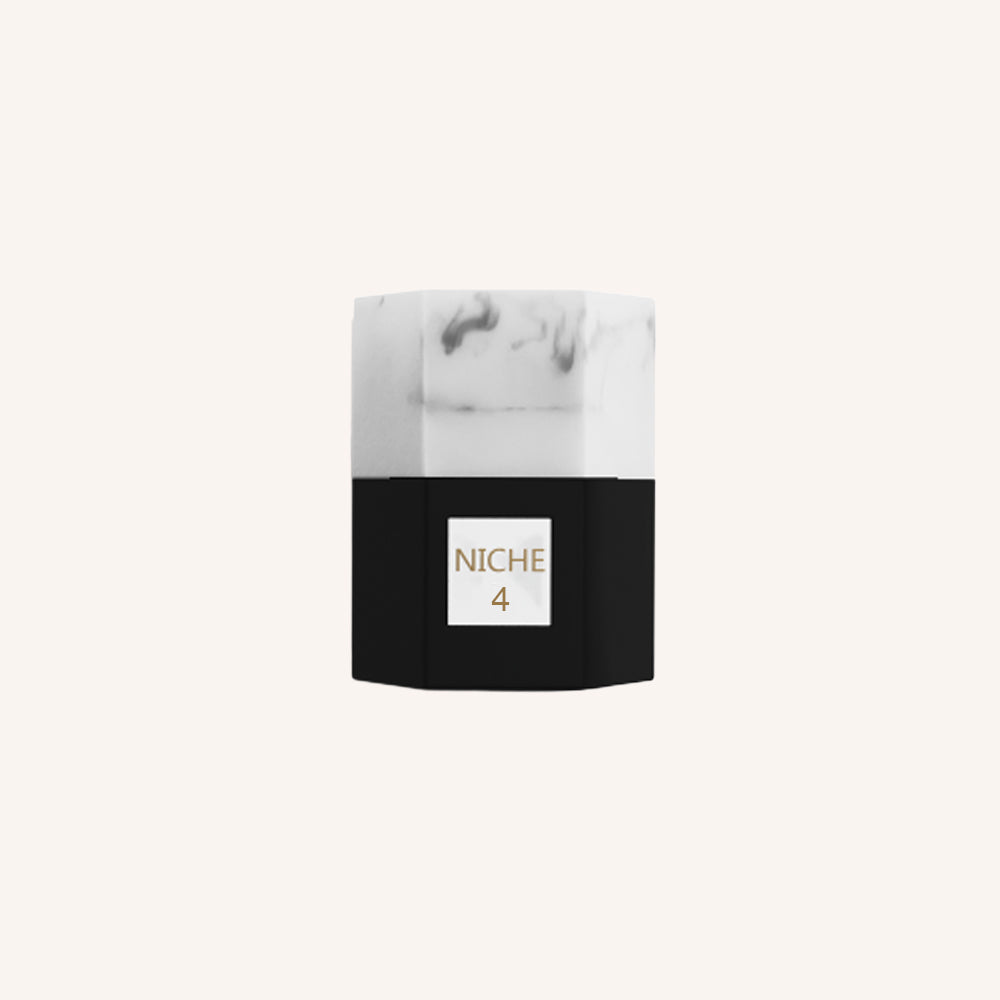 Parfum Reef Niche 4 – Élégance chaleureuse et fruitée 50 ml